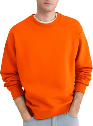 Men's Crewneck Sweatshirt Long Sleeve Fleece Sweatshirts Breathable Lightweight Crew Neck Pullover Sweatshirts
