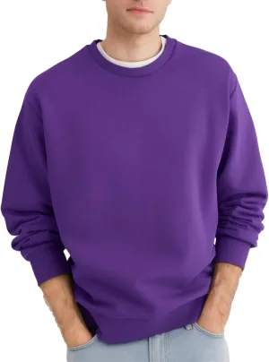 Men's Crewneck Sweatshirt Long Sleeve Fleece Sweatshirts Breathable Lightweight Crew Neck Pullover Sweatshirts