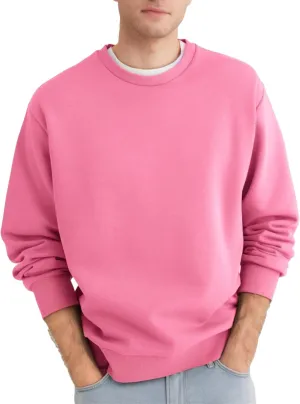 Men's Crewneck Sweatshirt Long Sleeve Fleece Sweatshirts Breathable Lightweight Crew Neck Pullover Sweatshirts
